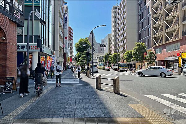 敷地西側の前面道路（北側から）