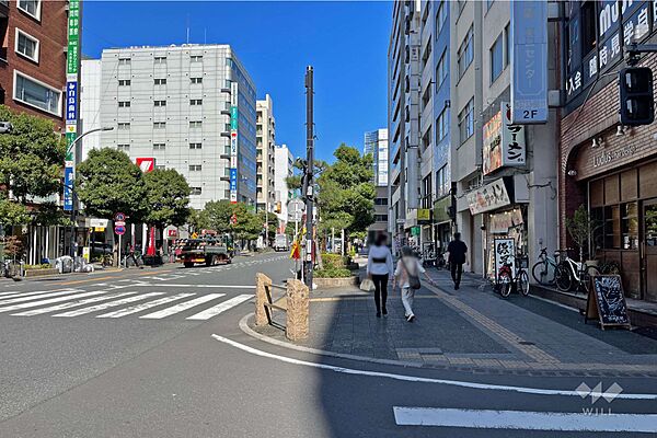敷地西側の前面道路（南側から）