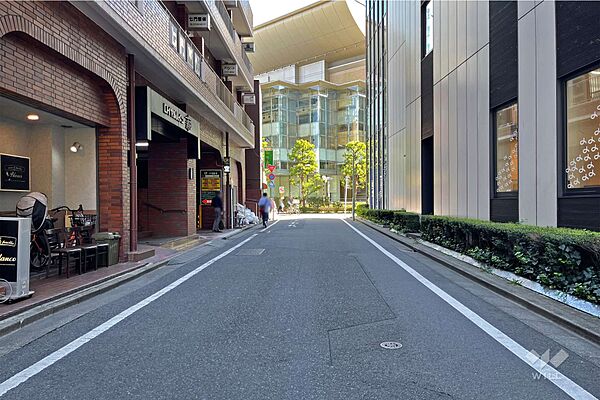 敷地南側の前面道路（西側から）