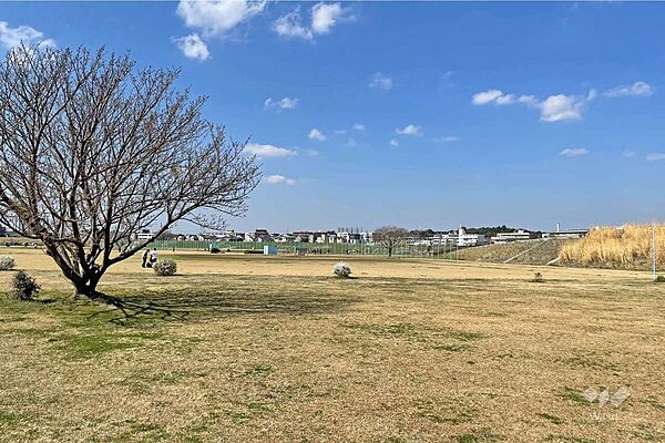 二子玉川緑地運動場