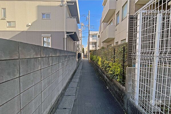 敷地の東側通路（南側から）