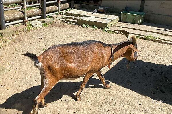 夢見ヶ崎動物公園の外観