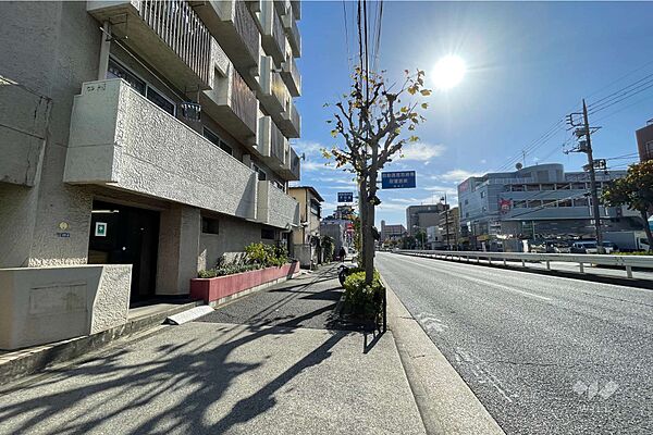 敷地の西側前面道路（北側から）