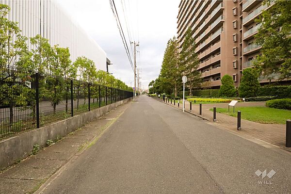 敷地西側の前面道路(南側から)