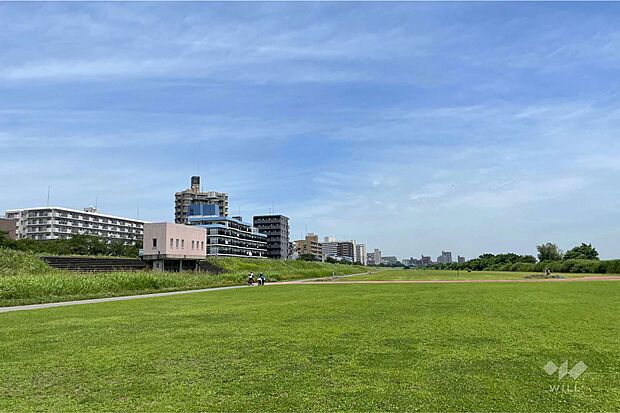 多摩川六郷橋緑地の外観