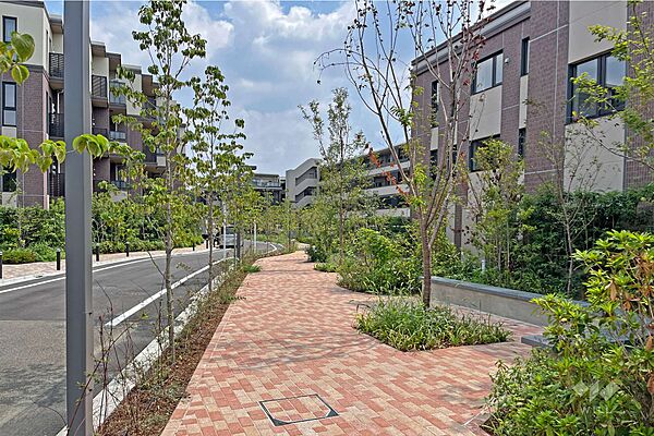 敷地内の遊歩道