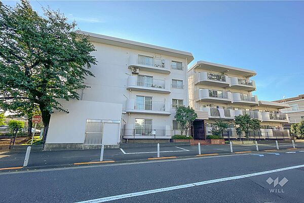 外観：313004556395