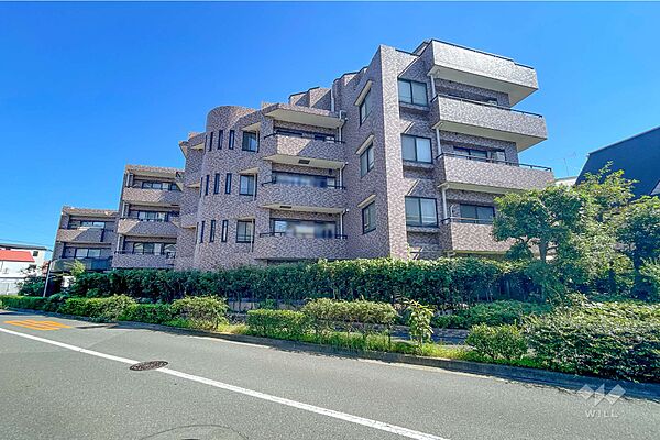 外観：313004610665