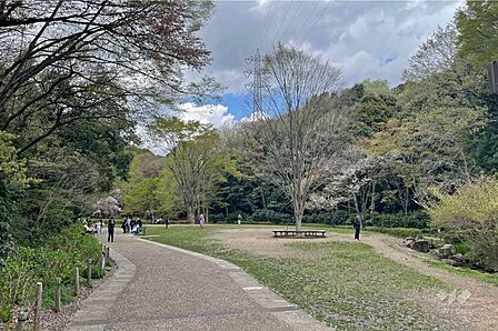 東高根森林公園の外観