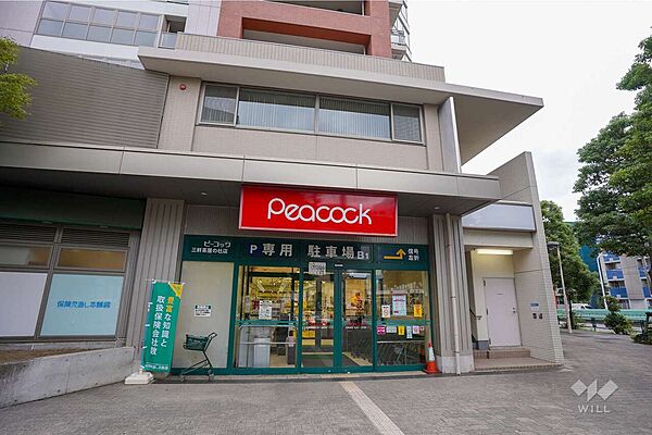 ピーコックストア(三軒茶屋の杜店)の外観