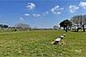 周辺：多摩川緑地（下野毛地区、せせらぎと親子広場）の外観