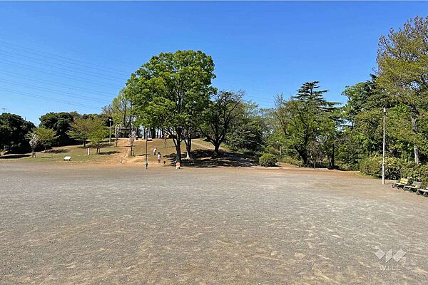 鷺沼公園の外観