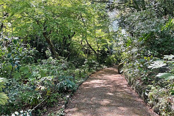 川崎市民プラザ公園の外観