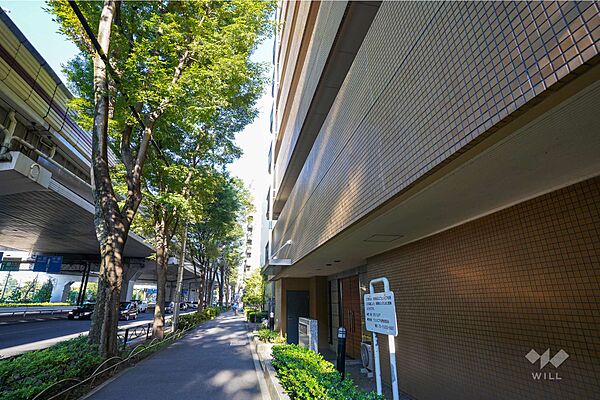 敷地北側の前面道路（西側から）