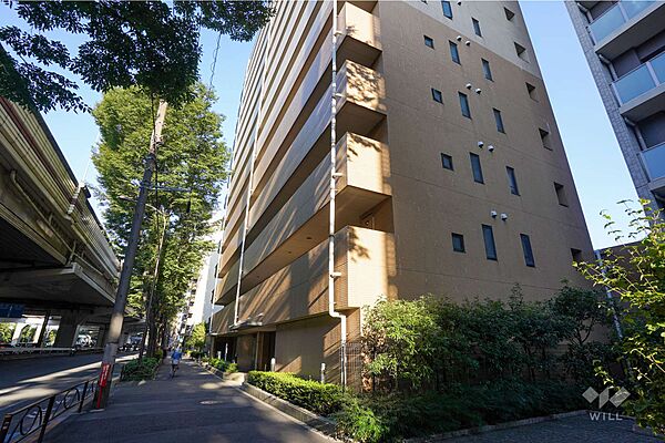 敷地北側の前面道路（西側から）