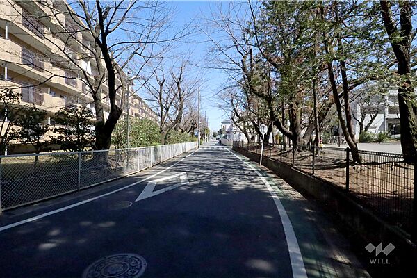 敷地南側の前面道路