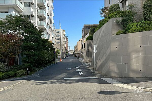 敷地北側の前面道路（西側から）