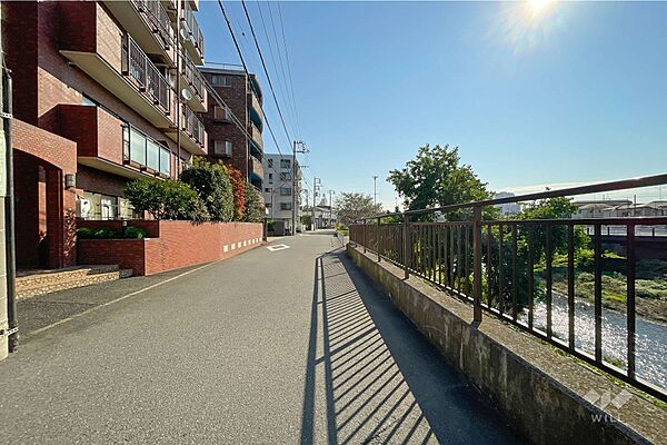 敷地南側の前面道路（西側から）