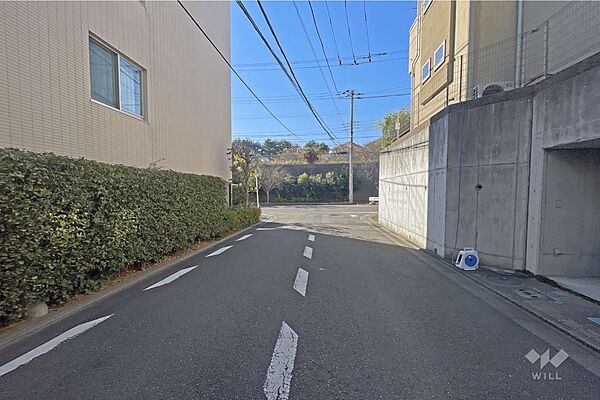 敷地の西側前面道路（北側から）