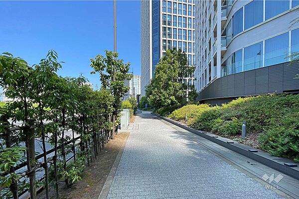 敷地南西側の前面道路