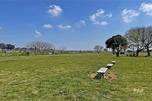 多摩川緑地（下野毛地区、せせらぎと親子広場）の外観