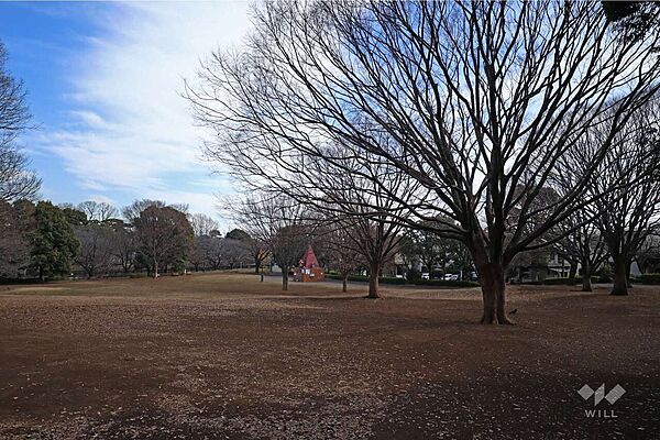 都立祖師谷公園の外観