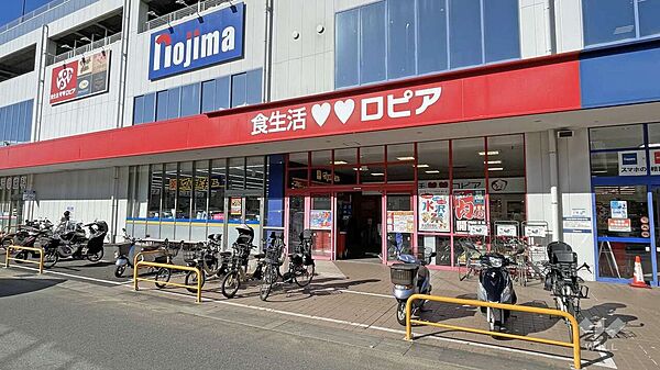 ロピア(川崎水沢店)の外観