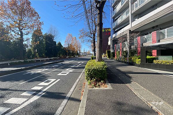 敷地南側の前面道路（東側から）