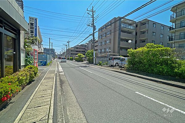 敷地北側の前面道路（西側から）