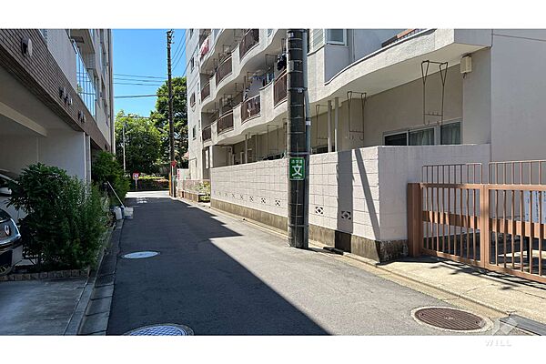 敷地東側の前面道路(北東側から)
