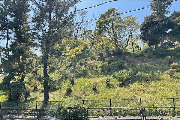梶が谷第二公園の外観