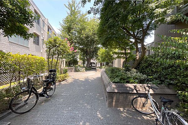 敷地西側の前面道路（南側から）