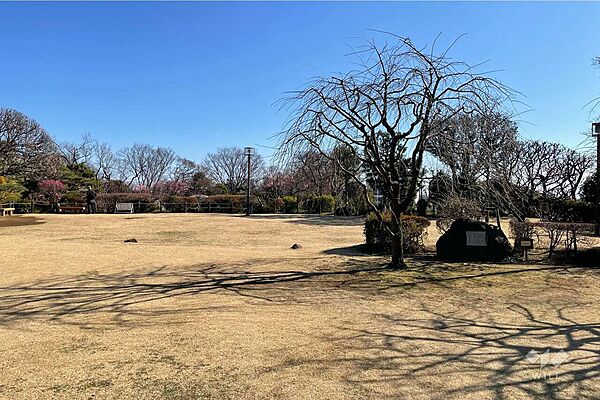 等々力渓谷公園の外観