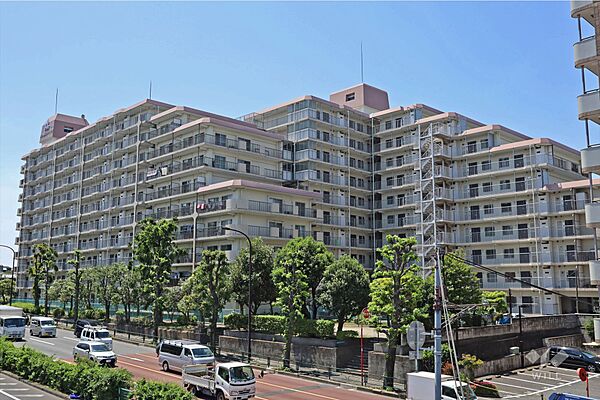 外観：313004918241