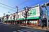 周辺：サミットストア(桜店)の外観
