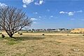 二子玉川緑地運...