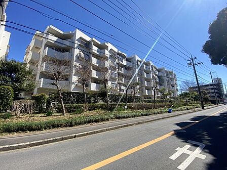 周辺環境も充実しておりコンビニやスーパーなど日々の生活に必要な施設が徒歩圏内にあります♪