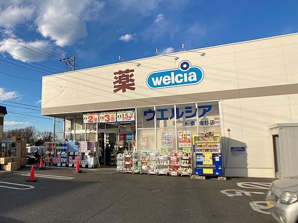 ウエルシア船橋金杉店　徒歩約13分　1000ｍ