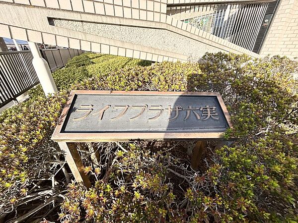 植栽が映えるタイルに包まれた外観です！