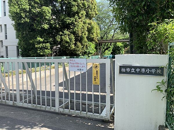 中原小学校まで1230m　徒歩約16分