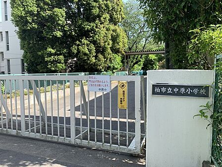 中原小学校まで1230m 徒歩約16分