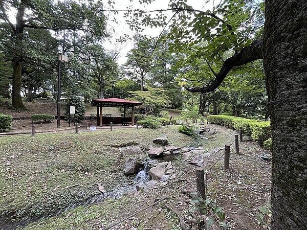 緑豊かな祖師谷公園～散策散歩に程よい距離（約30ｍ）にあります