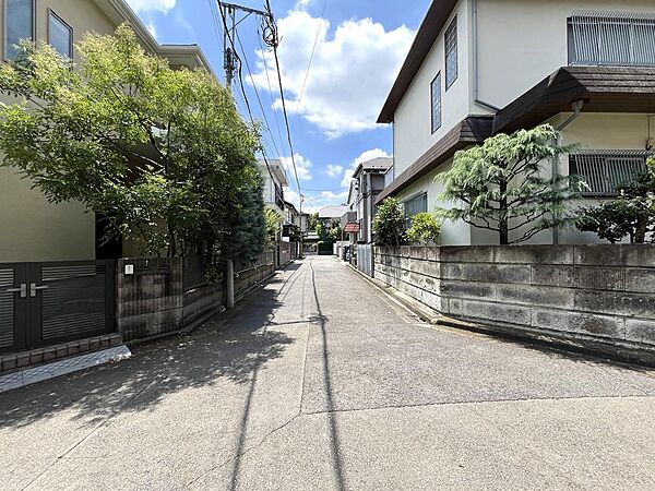 西側私道の街並み