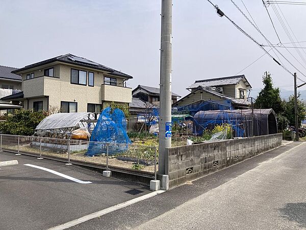 外観：338000053151
