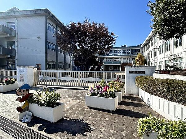 【小学校】小田原市立富水小学校まで徒歩11分（約800m）