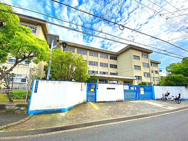 寝屋川市立楠根小学校 1100m
