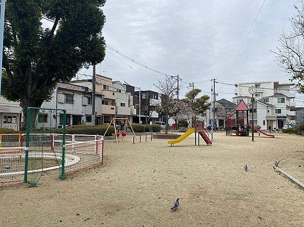 周辺を拡大表示