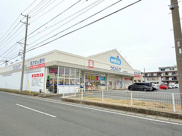 ドラッグストア ウエルシア浜松参野町店営業時間:8:00~24:00 500m