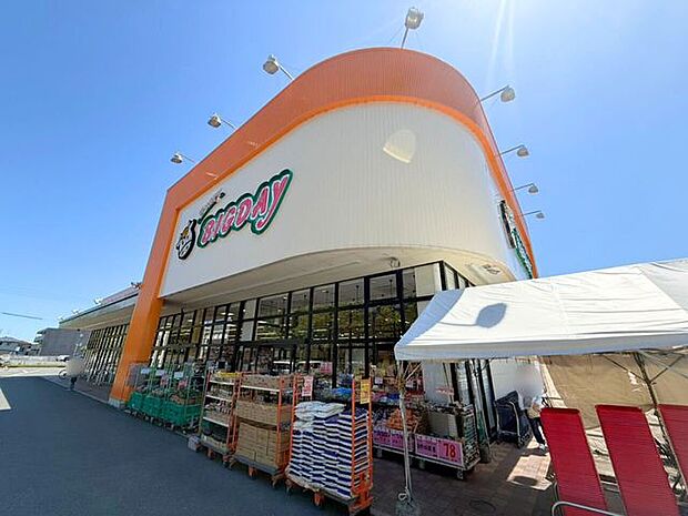 スーパー エブリィビックデー有玉南店営業時間:9:00~20:00 1400m
