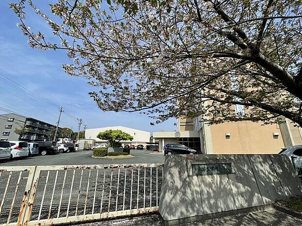 浜松市立瑞穂小学校 994m
